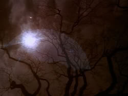 extant_HerculesAndTheAmazonWomen_0044