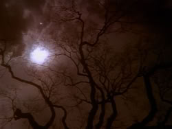 extant_HerculesAndTheAmazonWomen_0045
