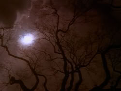 extant_HerculesAndTheAmazonWomen_0046