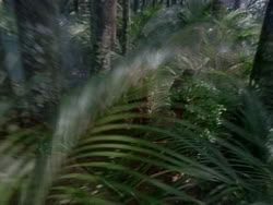 extant_HerculesAndTheAmazonWomen_0053