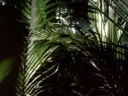 extant_HerculesAndTheAmazonWomen_0054