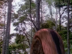 extant_HerculesAndTheAmazonWomen_0104