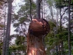 extant_HerculesAndTheAmazonWomen_0105