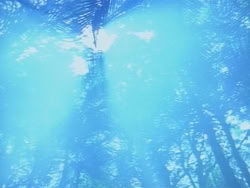 extant_HerculesAndTheAmazonWomen_0165