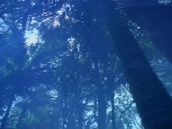 extant_HerculesAndTheAmazonWomen_0167