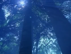 extant_HerculesAndTheAmazonWomen_0168