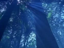 extant_HerculesAndTheAmazonWomen_0169