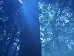 extant_HerculesAndTheAmazonWomen_0170