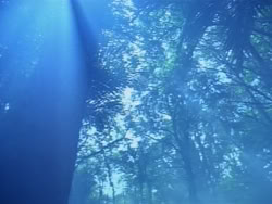 extant_HerculesAndTheAmazonWomen_0171