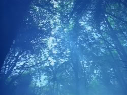 extant_HerculesAndTheAmazonWomen_0172