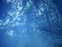 extant_HerculesAndTheAmazonWomen_0174
