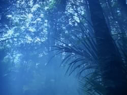 extant_HerculesAndTheAmazonWomen_0175