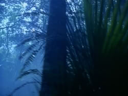 extant_HerculesAndTheAmazonWomen_0176