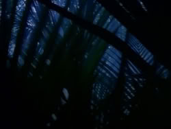 extant_HerculesAndTheAmazonWomen_0177