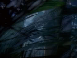 extant_HerculesAndTheAmazonWomen_0178