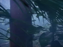 extant_HerculesAndTheAmazonWomen_0180