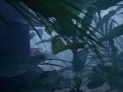 extant_HerculesAndTheAmazonWomen_0181