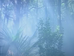 extant_HerculesAndTheAmazonWomen_0193