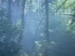 extant_HerculesAndTheAmazonWomen_0197