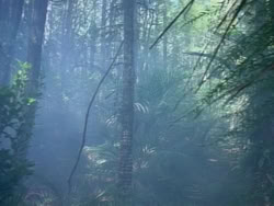 extant_HerculesAndTheAmazonWomen_0198