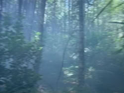 extant_HerculesAndTheAmazonWomen_0199