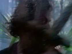 extant_HerculesAndTheAmazonWomen_0229