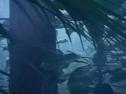 extant_HerculesAndTheAmazonWomen_0239