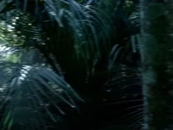 extant_HerculesAndTheAmazonWomen_0247