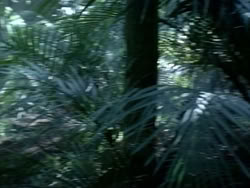 extant_HerculesAndTheAmazonWomen_0248
