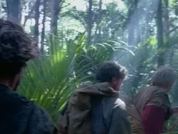 extant_HerculesAndTheAmazonWomen_0257