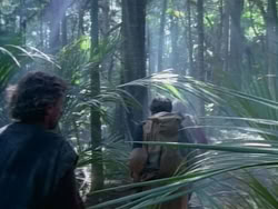 extant_HerculesAndTheAmazonWomen_0260