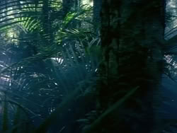 extant_HerculesAndTheAmazonWomen_0264