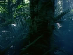 extant_HerculesAndTheAmazonWomen_0265