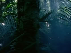 extant_HerculesAndTheAmazonWomen_0266
