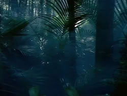 extant_HerculesAndTheAmazonWomen_0269
