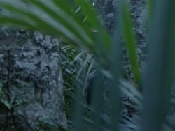 extant_HerculesAndTheAmazonWomen_0271