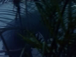 extant_HerculesAndTheAmazonWomen_0284