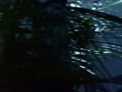 extant_HerculesAndTheAmazonWomen_0285