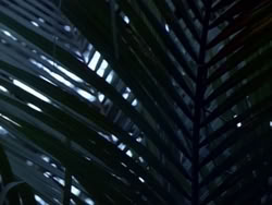extant_HerculesAndTheAmazonWomen_0290