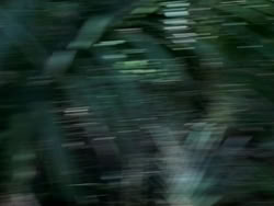 extant_HerculesAndTheAmazonWomen_0293