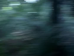 extant_HerculesAndTheAmazonWomen_0294