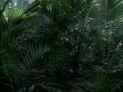 extant_HerculesAndTheAmazonWomen_0296