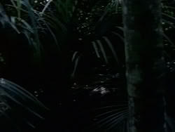 extant_HerculesAndTheAmazonWomen_0297
