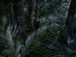 extant_HerculesAndTheAmazonWomen_0304