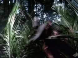 extant_HerculesAndTheAmazonWomen_0306