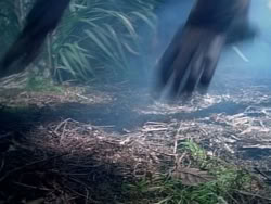 extant_HerculesAndTheAmazonWomen_0321