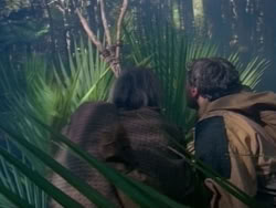 extant_HerculesAndTheAmazonWomen_0322