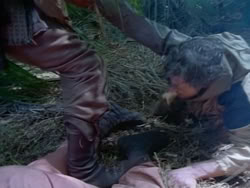 extant_HerculesAndTheAmazonWomen_0340
