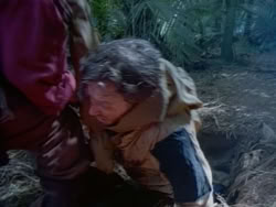 extant_HerculesAndTheAmazonWomen_0343