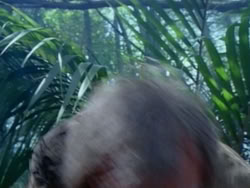 extant_HerculesAndTheAmazonWomen_0352